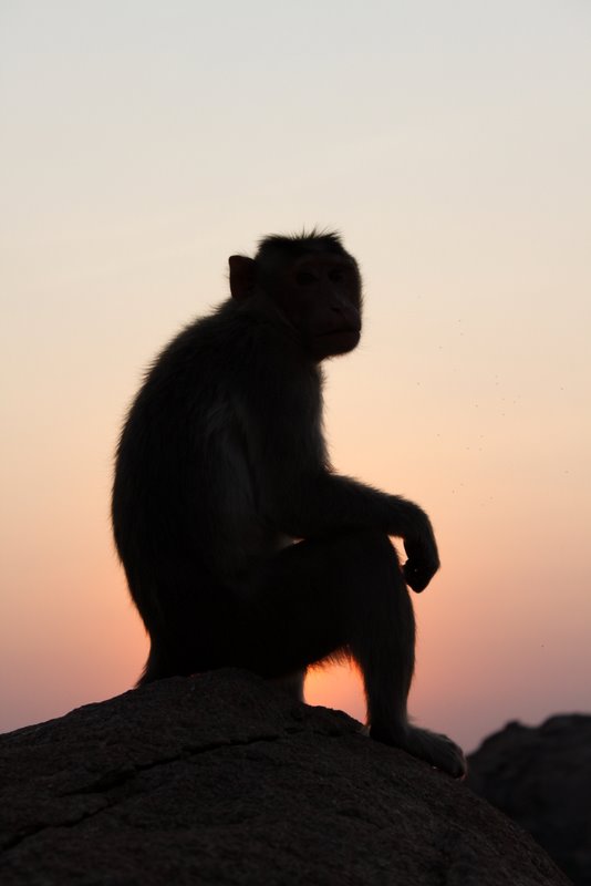 India 2010 - Hampi - Hanuman Temple